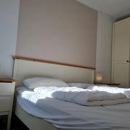 Ferienhaus-ohrenqualle Dornumersiel
